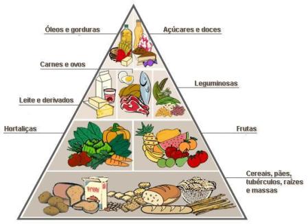 Resultado de imagem para piramide alimentar infantil